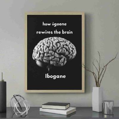 How Ibogaine Rewires the Brain