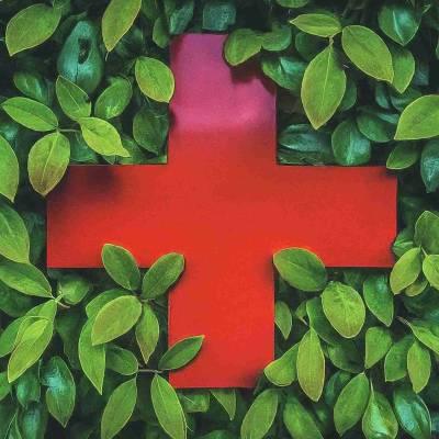 Ibogaine for Opioid Addiction: Is it a Miracle Cure?